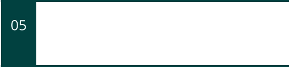 05 Ausarbeitung spezifischer Klimaschutzplan zur Erreichung realistischer Ziele zur Verringerung des CO2-Ausstoßes